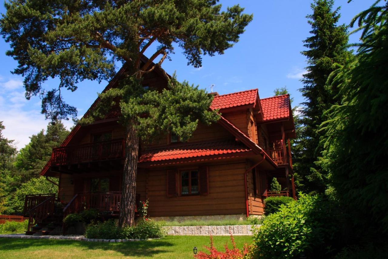 Willa Nad Popradem Piwniczna-Zdroj Exterior foto