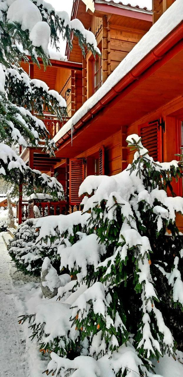 Willa Nad Popradem Piwniczna-Zdroj Exterior foto